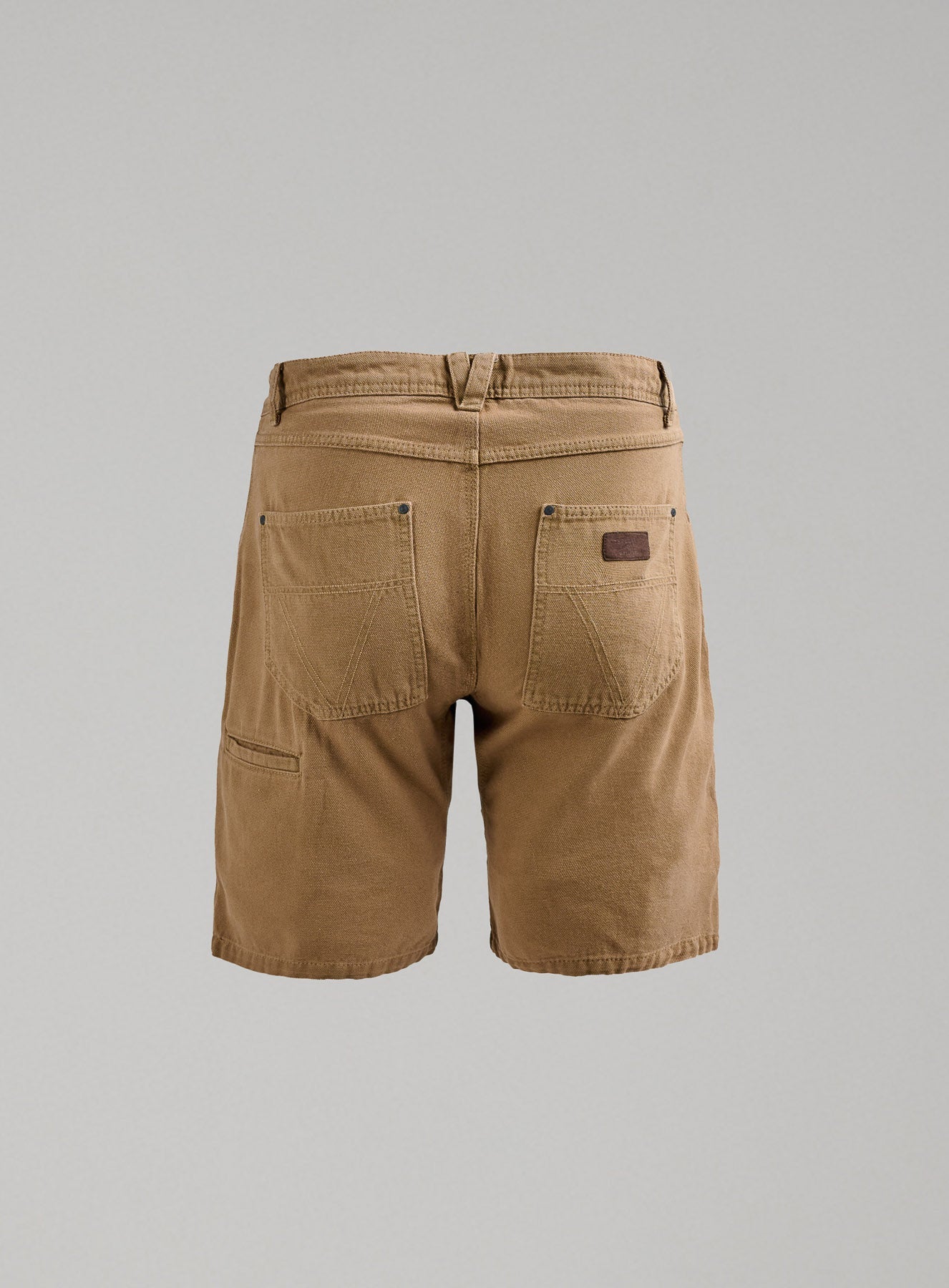 DISSIDENT CANVAS SHORTS