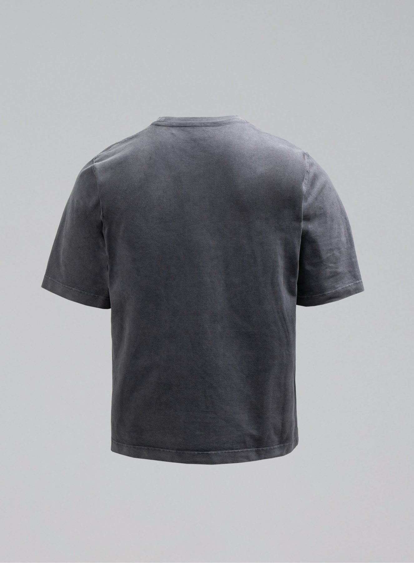 DISSIDENT WASHED T-SHIRT