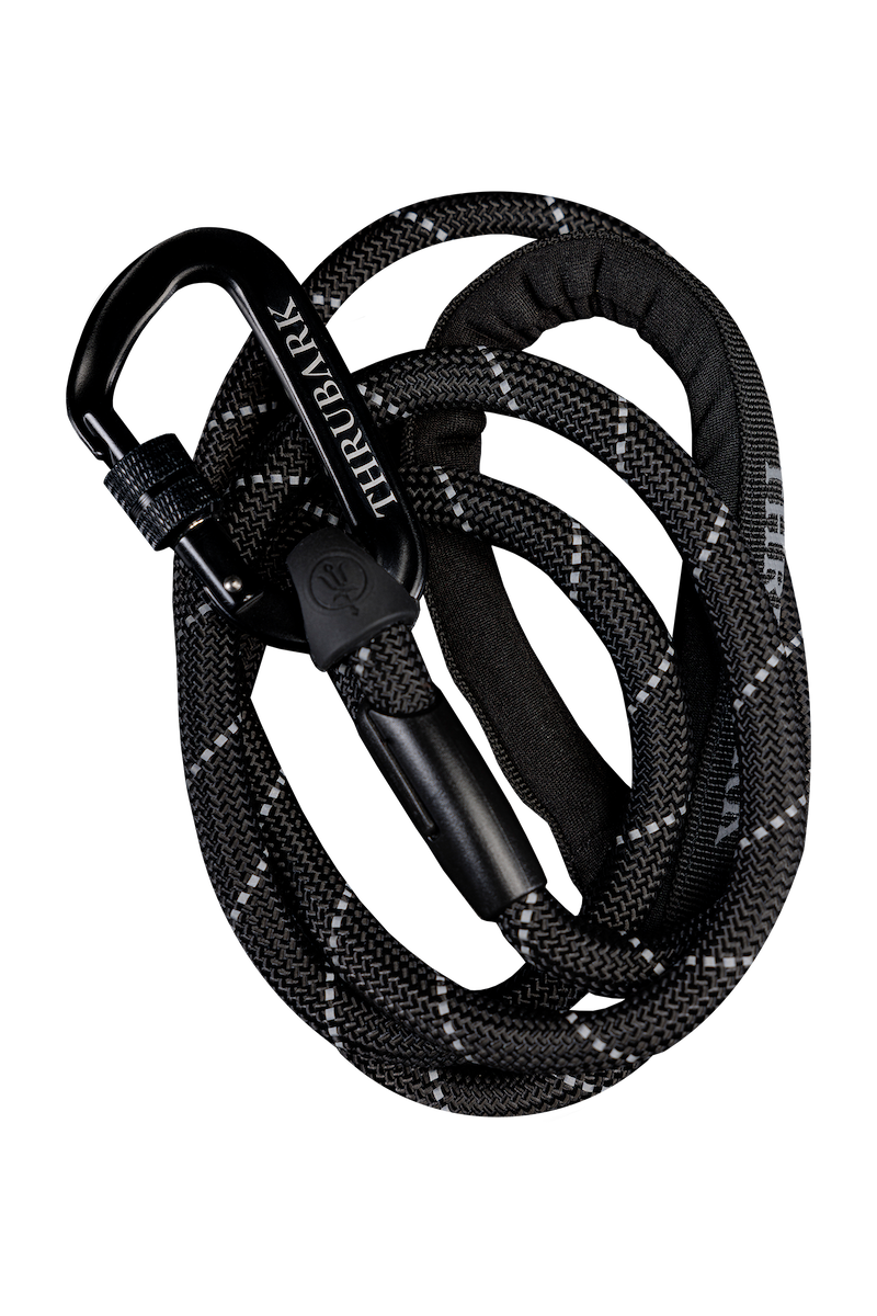 CARABINER DOG LEAD