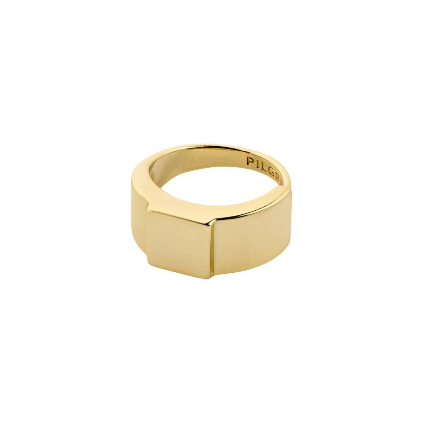 PILGRIM Friends Ring